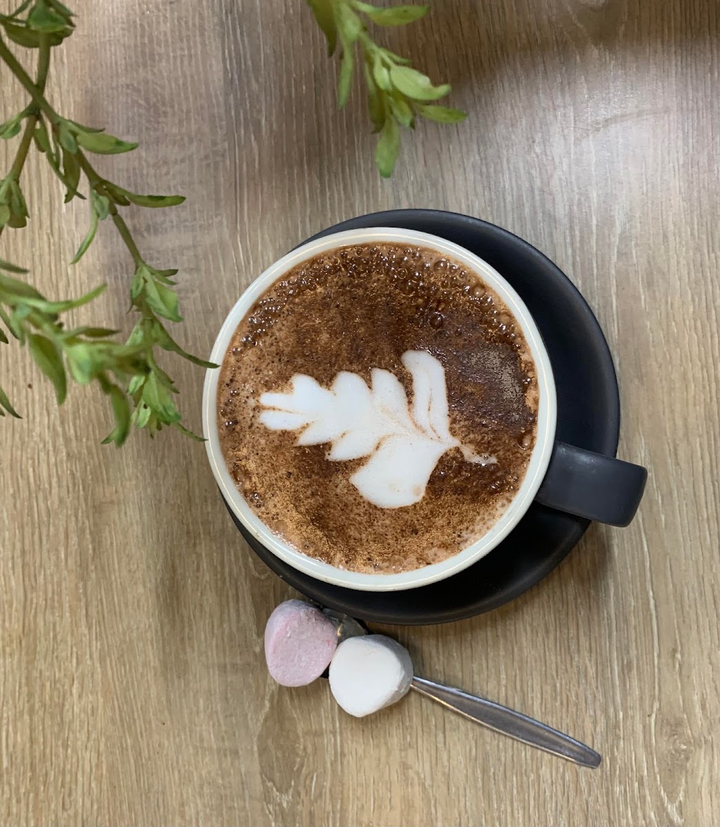 Banner Wattle Bee Next Mount Morgan Coffee 02